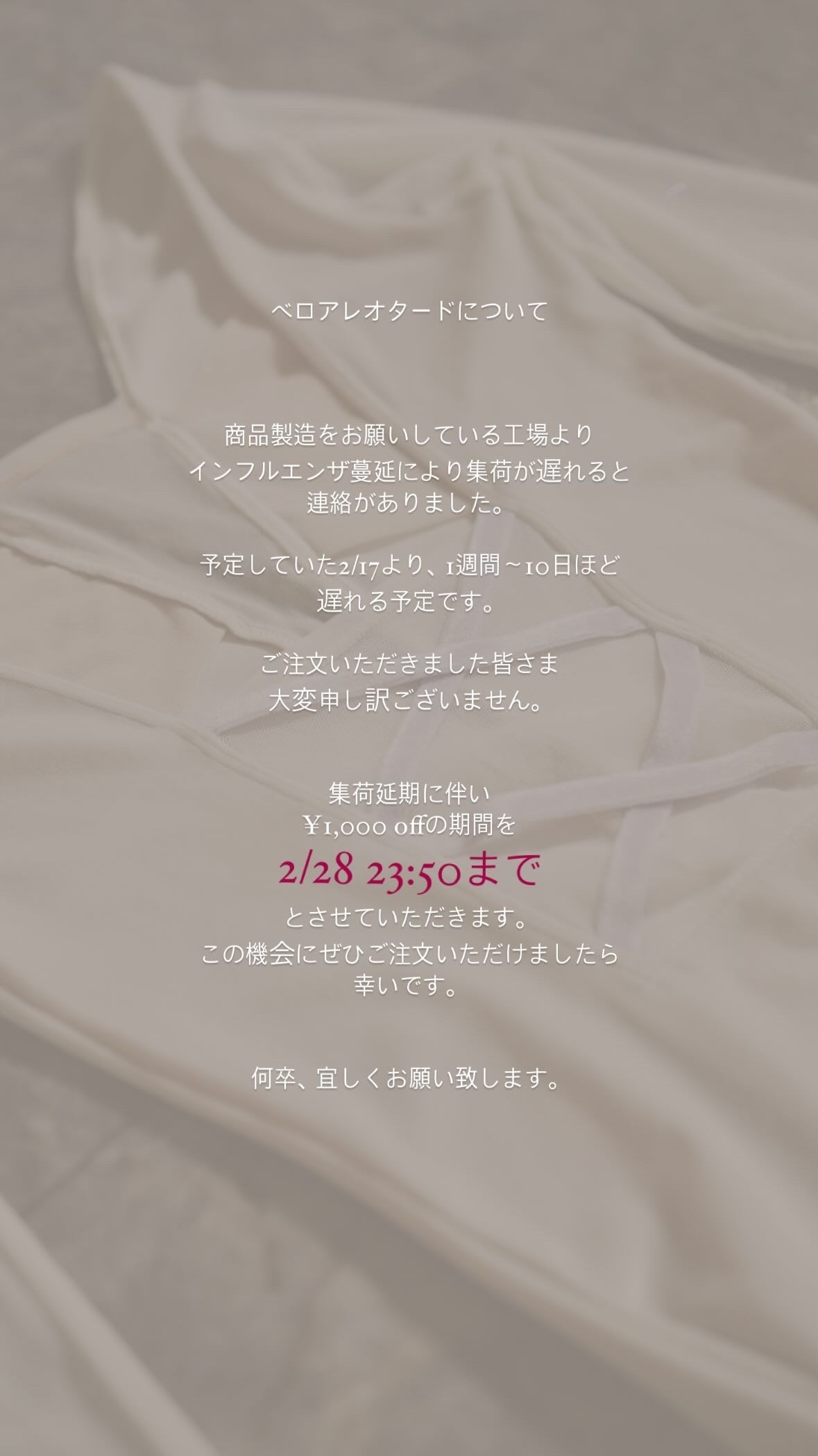【追】ベロアレオタードについて