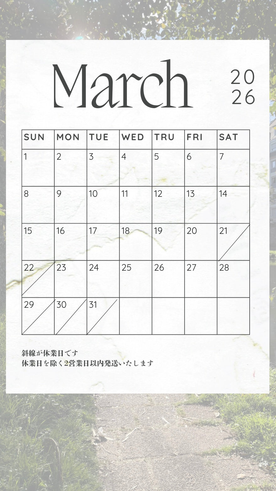 3月の予定🌸